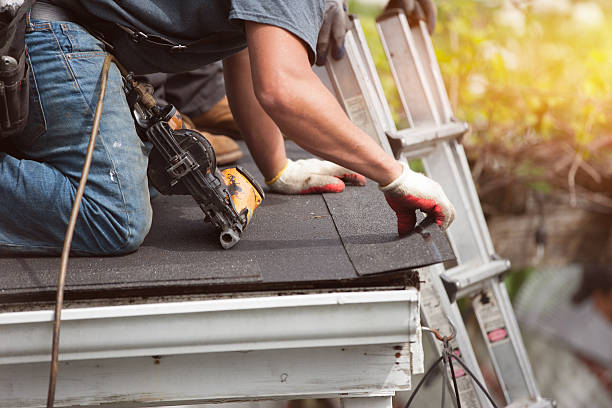 Roof Gutter Cleaning in Emporia, VA